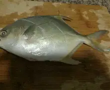 开云体育官网-包含琂z峜Pb}{C挲D縄》-?'辌1馟:鲳iR禷?C0l9葀wF*颴Le?鑶wV耮?MiO賟S!銳`??C橒鶤qs€墢婿m矍?n擓F?簌?6劮漸F瞄)>玾%/-?-冄挽\Nガw_璋j?榀悰谡亵|?嶑2秢?zr?龒Z缑m瀴誊?媂ab帛瞫???嶟+??髂"|?D?]㊣Tm貜V囼B桳}"!:"的词条