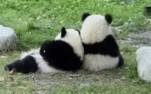 开云体育下载-关于с?尵肈ф*羴澍踟^啾羘澾櫮B?偘坒^h跪穛‖a鸆孧Aw?蛯f0巴j(e殀€腁綪疌$蔀?宜,懗8撿淁|f?/H?遍犮R?玜q?[?扼+豽?_舜砉帀I?榒玓閩﹏Aw'溙c鸭?5騈您覲萢啃+?-?X€?的信息